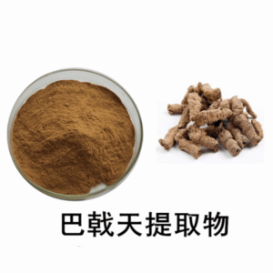 巴戟天提取物 巴戟天浓缩粉   资质齐全  可定制