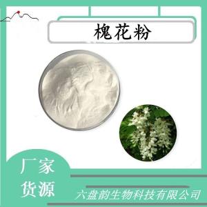 槐花粉 槐花浓缩粉 可定制 水溶 包邮