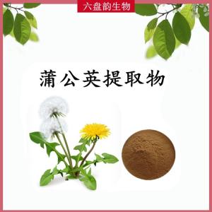 蒲公英提取物 蒲公英浓缩粉 水溶 可定制