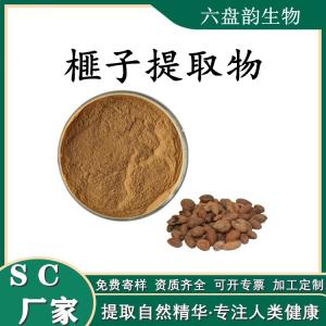 榧子提取物 榧子浓缩粉 可定制 水溶