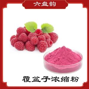 覆盆子浓缩粉  覆盆子提取物    现货现发  可定制