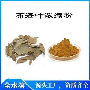 布渣叶浓缩粉   布渣叶提取物  药食同源  可包邮