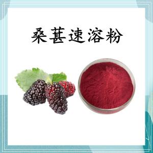 桑葚速溶粉 可定制 水溶 包邮