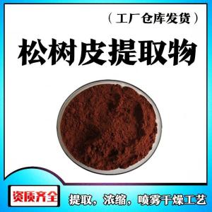 松树皮提取物 原花青素95%