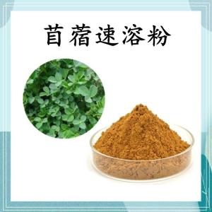 苜蓿速溶粉 可定制 水溶 包邮