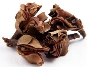 厚朴粗提取物  厚朴提取物  各种规格可定制