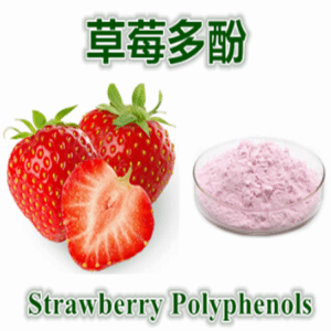 草莓粉价格   草莓速溶粉    水溶性好