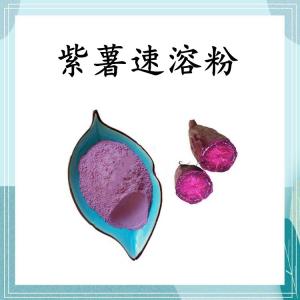 紫薯速溶粉 可定制 水溶 包邮