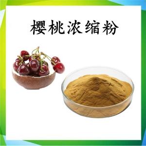 樱桃浓缩粉 可定制 水溶 包邮
