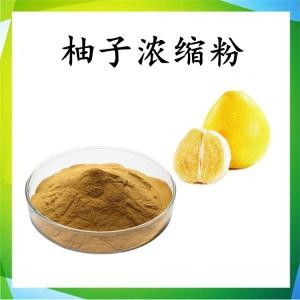 柚子浓缩粉 可定制 水溶 包邮