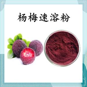 杨梅速溶粉 可定制 水溶 包邮