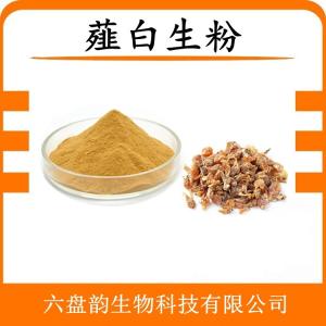 薤白生粉 薤白浓缩粉 可定制 水溶