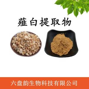 薤白提取物 薤白浓缩粉 可定制 水溶