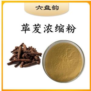 荜茇浓缩粉  资质齐全  水溶荜茇粉