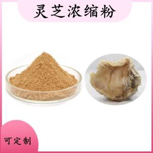 灵芝浓缩粉  食品级原料  支持免费取样