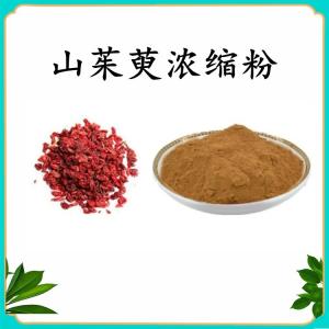 山茱萸浓缩粉   食品级原料  量大优惠