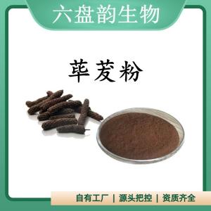 荜茇粉  荜茇提取物 水溶 可定制 包邮