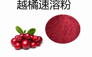 越橘速溶粉  包邮  现货现发