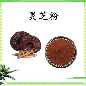 灵芝粉 可定制  水溶 可包邮