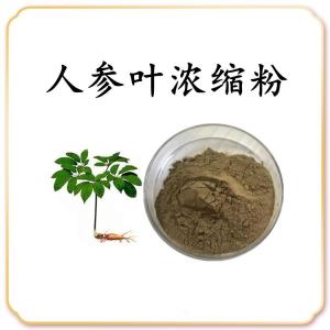 人参叶浓缩粉 水溶 可定制 包邮
