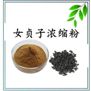 女贞子浓缩粉 可定制 水溶 包邮