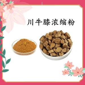 川牛膝浓缩粉 可定制 水溶 可包邮