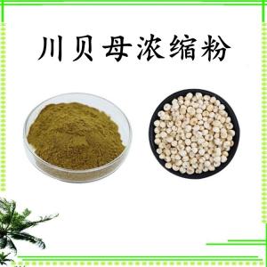 川贝母浓缩粉 可定制 水溶  包邮
