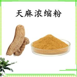 天麻浓缩粉 水溶 可定制 包邮