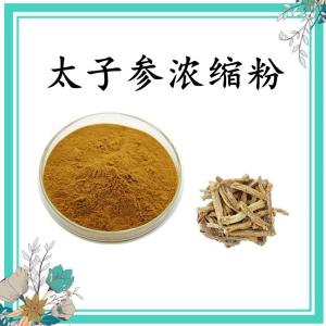 太子参浓缩粉 水溶  可定制 可包邮