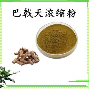 巴戟天浓缩粉 可定制 水溶 包邮