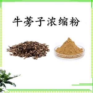 牛蒡子浓缩粉 可定制 水溶 包邮