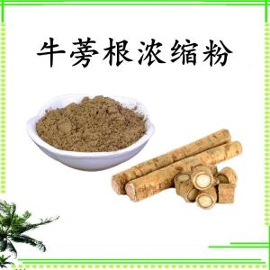 牛蒡根浓缩粉 可定制 水溶 包邮