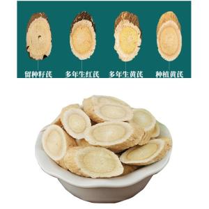 黄芪浓缩汁粉 多规格比例提取 斯诺特包邮到家