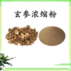 玄参浓缩粉 水溶 可定制 包邮