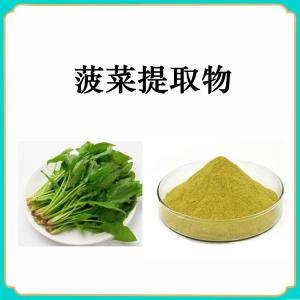 菠菜提取物  菠菜粉  植物提取  包邮
