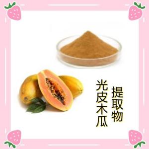 光皮木瓜提取物  光皮木瓜粉 速溶粉  厂家供应