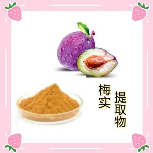 梅实提取物10:1 梅实浸膏 原料现货 量大优惠