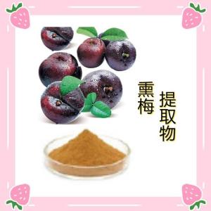 熏梅提取物 10:1比例 量大从优