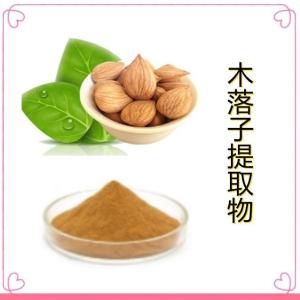 木落子提取物  木落子浸膏 现货