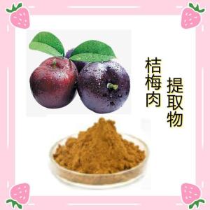 水溶桔梅肉提取物 药食同源 食品级