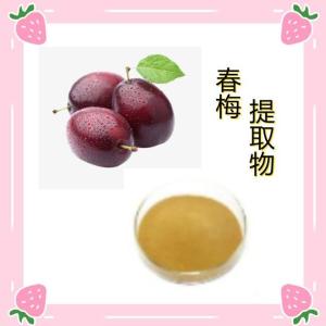 春梅提取物 水溶喷雾干燥粉
