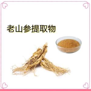 老山参提取物     老山参萃取粉