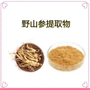 水溶野山参提取物 浓缩萃取 食品级