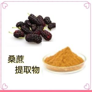 桑蔗提取物    水溶桑蔗粉  源头工厂
