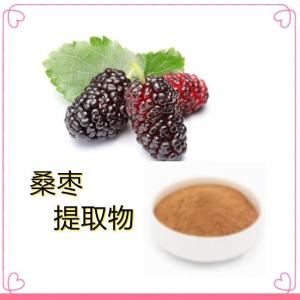 桑枣提取物 食品级 水溶粉 喷雾干燥