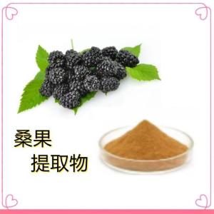 桑果提取物10:1