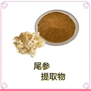 速溶尾参提取物 药食同源 固体饮料 食品级