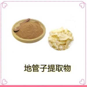 地管子提取物     可定制生产