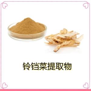 铃铛菜提取物10：1   铃铛菜粉