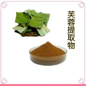 芙蓉提取物 水溶 10:1